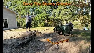 Big Stump Removal - Dave The Stump Grinder