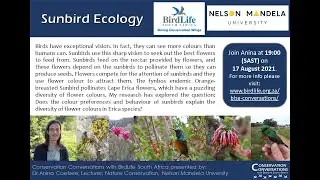 Conservation Conversations: Sunbirds and flower colour - Dr Anina Coetzee (17Aug21)
