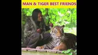 MAN AND TIGER BEST FRIENDS #shorts