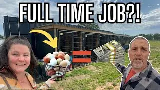 How To Make Money With Chickens | Hatchery Talk Behind the Scenes at Paragon Hatchery