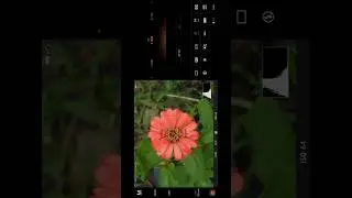 Sony xperia 5 ii . Sony camera testing new biggest phone 2025 Sony Best phone