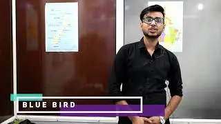 Blue Bird Ielts And Immigration