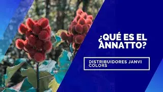 &iquest;Qu&eacute; es el Annatto (Colorante natural para alimentos)? - Achiote