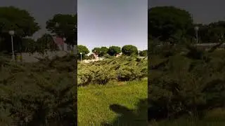 A green space and beautiful nature and park in Iran