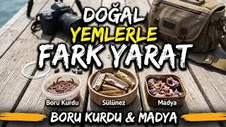 BALIK AVINDA En Etkili Yemler! Balık Yakalama Oranınızı Artırın