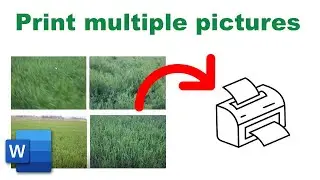 how to print multiple pictures on one page in Microsoft word