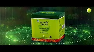 AllWin Top Plus HINDI AV