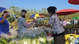 สลัดตระกูลคอสขายดีที่สุด!!ทั้งตลาดมีเจ้าเดียวขายผักตลาดคลองถม