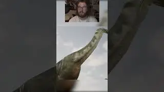 Даже хищники восхищаются динозаврами.