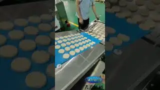 Tray type biscuit making machine for sale.