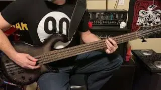 Why Go [Pearl Jam] 12-String Bass Cover