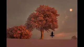 Chill/Relaxed Flute type beat - 