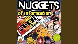 Nuggets of Information