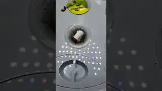 My free-form germination fail | Aerogarden hydroponic