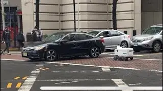 Uber Eats Delivery Robot Fails to Cross the Street in Jersey City