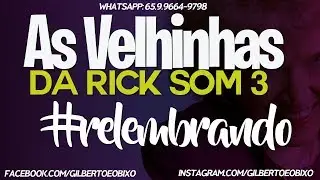 CD As Velhinhas da Rick Som 03 - Dj Gilberto &eacute;o Bixo
