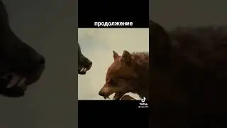 #сумерки #bellacullen #фильм #jacob #