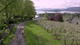 Postkortfilm fra Gvarv