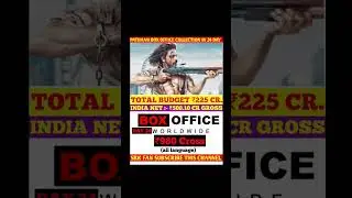 Pathaan day 24 box office collection worldwide collection #pathan #viral #youtubeshorts #srk