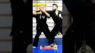 DEMO IMUA 311