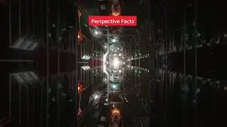Perspective facts 🥑#Perspective #facts #FastFactsDaily #motivation #quotes #music #beats