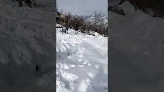Snowfall #shorts #snowfall #patnitop #teriyaadonkichadarodhe #viral #trending