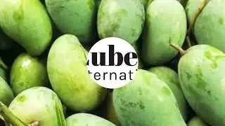 Export Amrupali Mango from Bangladesh !! Cube Star International Ltd.