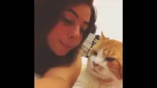 Cat Refuses Kissing   Funny Cats Hate Kissing Compilation