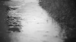 July Rain
