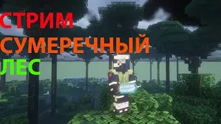 ✅СТРИМ►МАЙН►СУМЕРЕЧНЫЙ ЛЕС МОД СТРОЕМ СПАВН НА ВАНИЛЛЕ