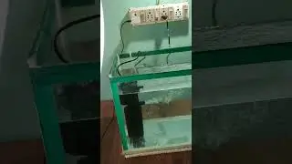 Venus Aqua Internal Filter Setup | Aquarium Filter