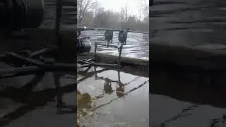 Wolf Icon QI carp run