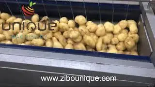 Potato peeling machine from Zibo Unique Machinery