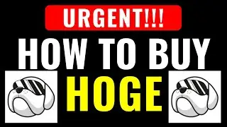 HOW TO BUY HOGE (VERY EASY) - FULL VIDEO WALKTHROUGH