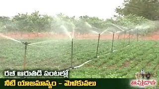Critical Stages of Watering in ID Crops