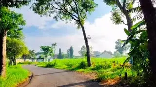 Melintasi rute area GUNUNG KLOTOK dari arah GOA SELOMANGLENG part 9 sekitar pagi pukul 07.00