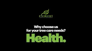Why choose us for your tree care needs? HEALTH.