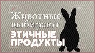 Животные выбирают этичные продукты
