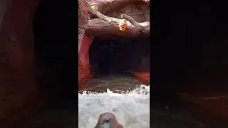 RIP splash Mountain!😭😭😭😭😭😭😭😭￼