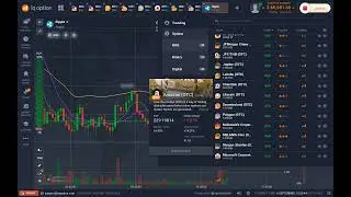 Ripple trading 2025 forex for beginner