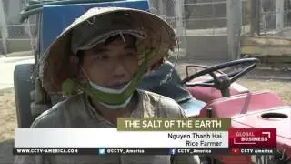 Mekong Delta fights losing battle against salt water