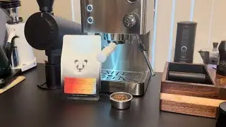 How Does The MiiCoffee DF83V Handle Light Roasts?