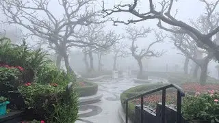 🚠🏰🌧️ Ba Na Hills Rainy Season | Fog, Gardens & Fantasy Park 🎡