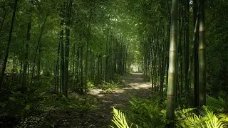 Bamboo Path (Unreal Scene)