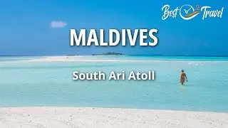 Maldives on a Budget - Malediven bezahlbar - South Ari Atoll with Whale Sharks and Manta Rays