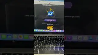 Какая ситуация с MOBOX Airdrop на сегодня?