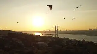 City Bridge Over the River | Urban Landscape View