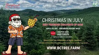 Hot Deals, Cool Trees – It’s Christmas in July!