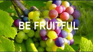 TWENTY-ONE DAYS OF PRAYER & FASTING - SUPERNATURAL FRUITFULNESS - DAY 16 / 1/17/2026