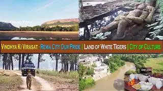 Vindhya Ki Virasat - Rewa City Our Pride | Land of White TIgers | City of Culture